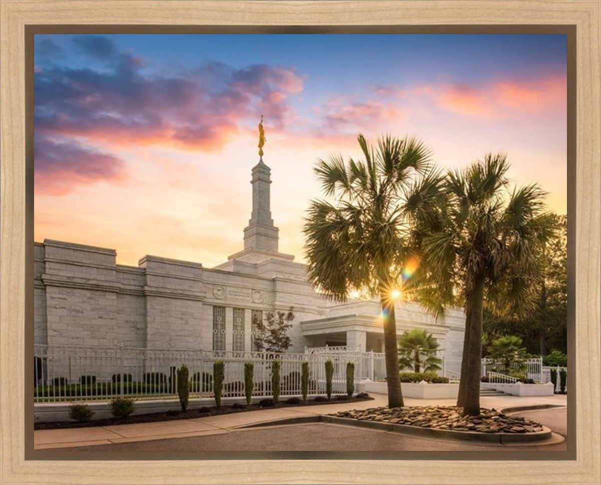 Columbia Palmetto Sunset Gallery Wrap