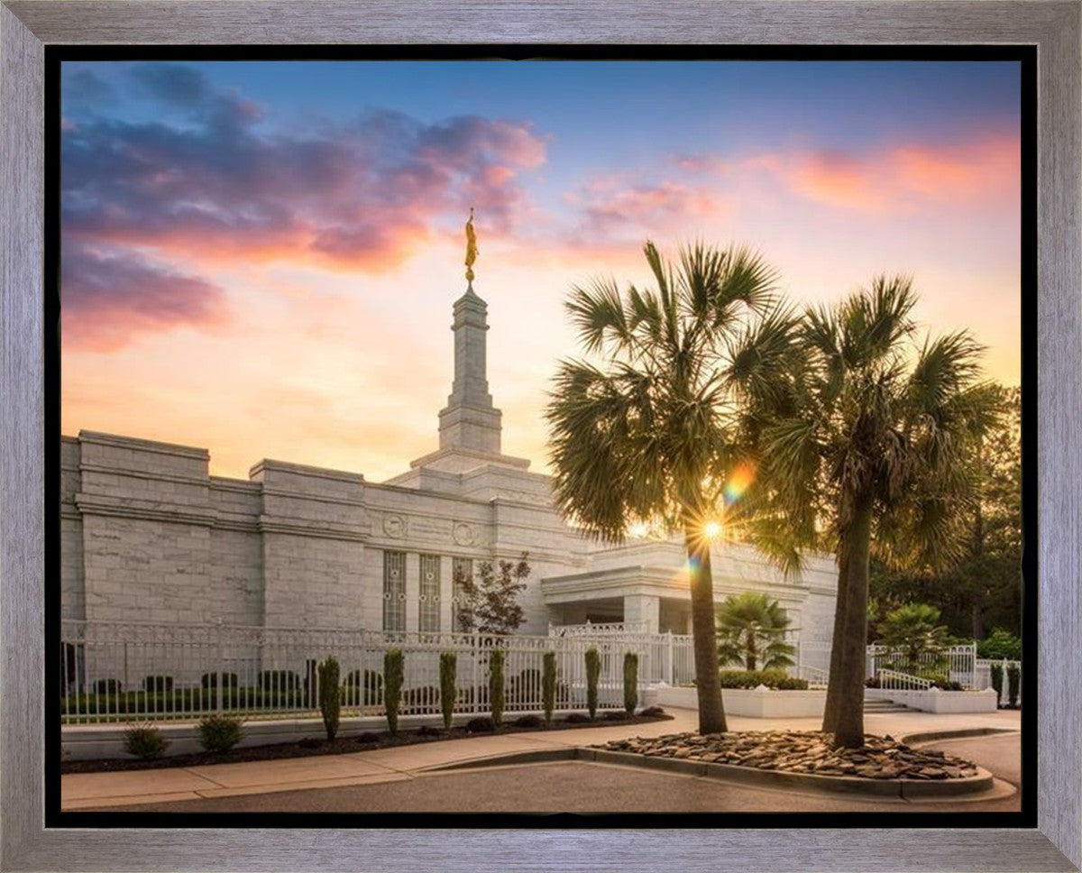 Columbia Palmetto Sunset Gallery Wrap