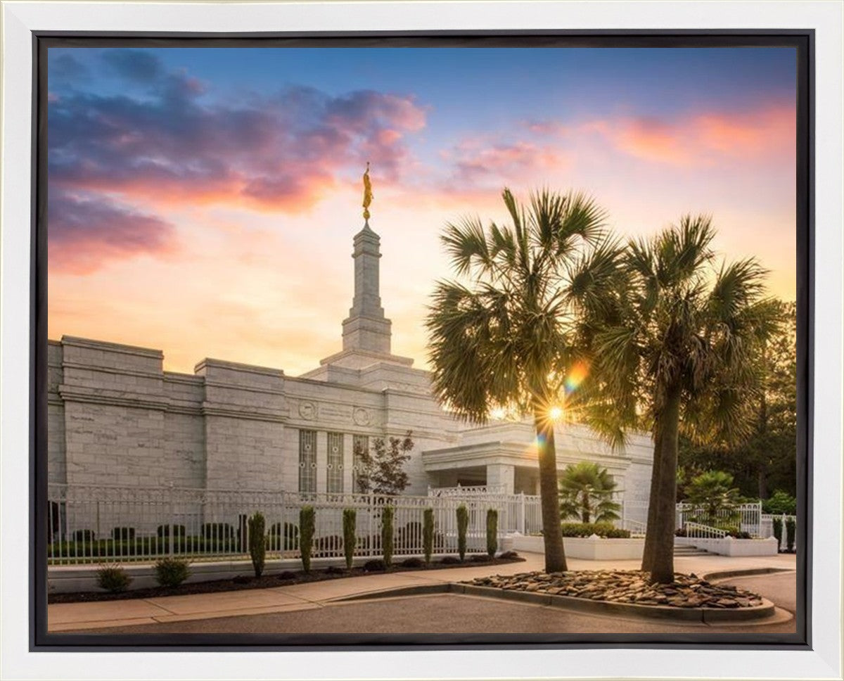 Columbia Palmetto Sunset Gallery Wrap