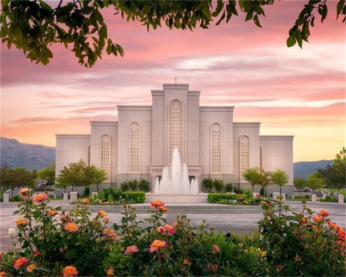 Albuquerque Morning Rose Gallery Wrap