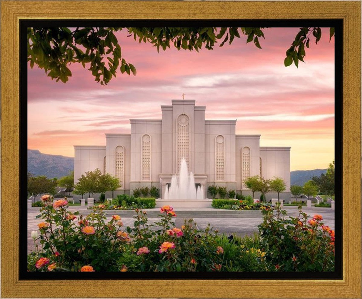 Albuquerque Morning Rose Gallery Wrap