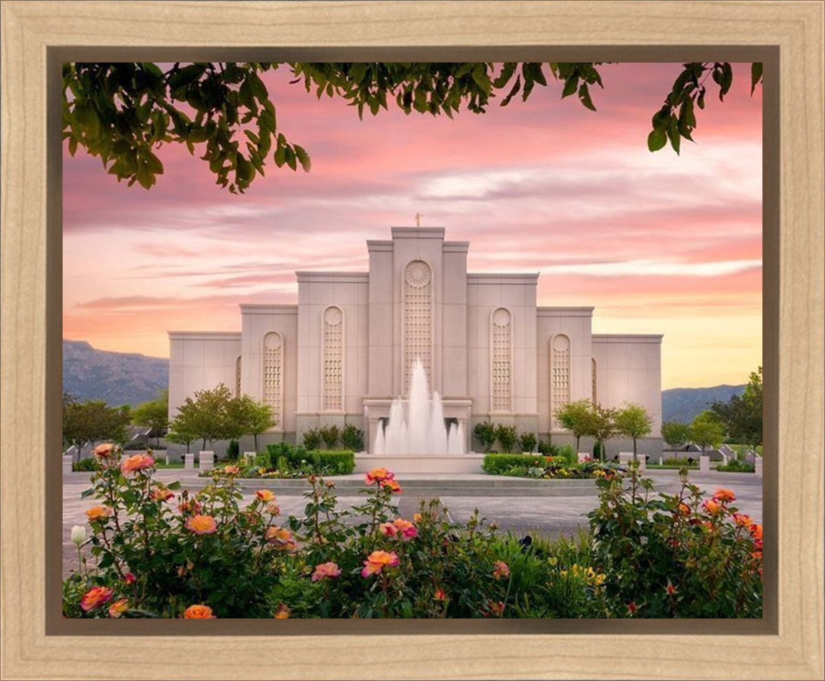 Albuquerque Morning Rose Gallery Wrap