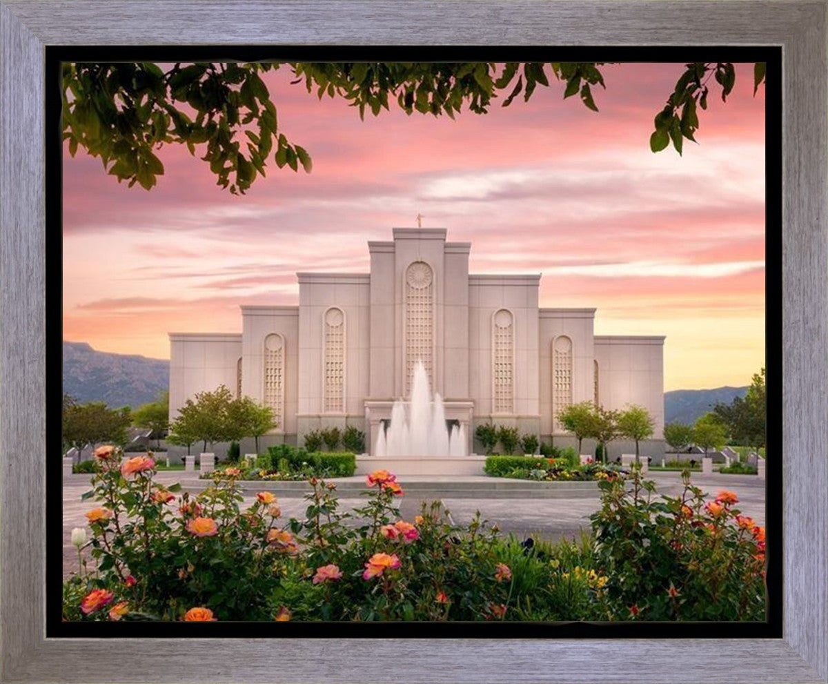 Albuquerque Morning Rose Gallery Wrap