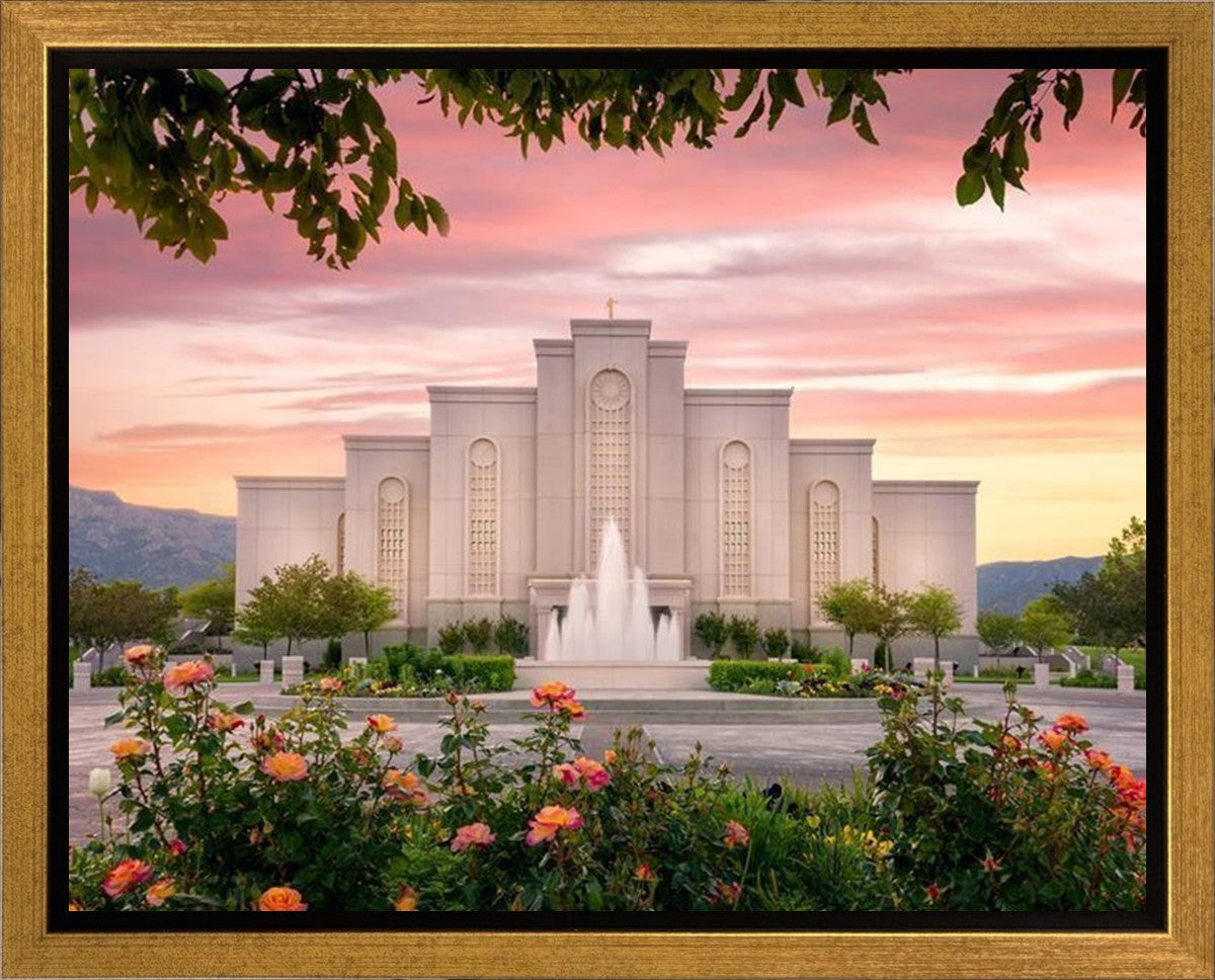 Albuquerque Morning Rose Gallery Wrap