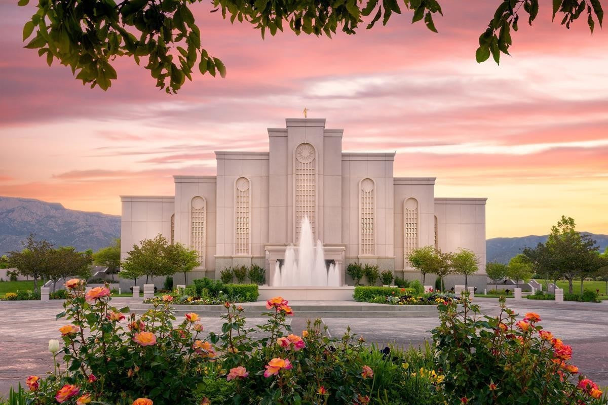 Albuquerque Morning Rose Gallery Wrap
