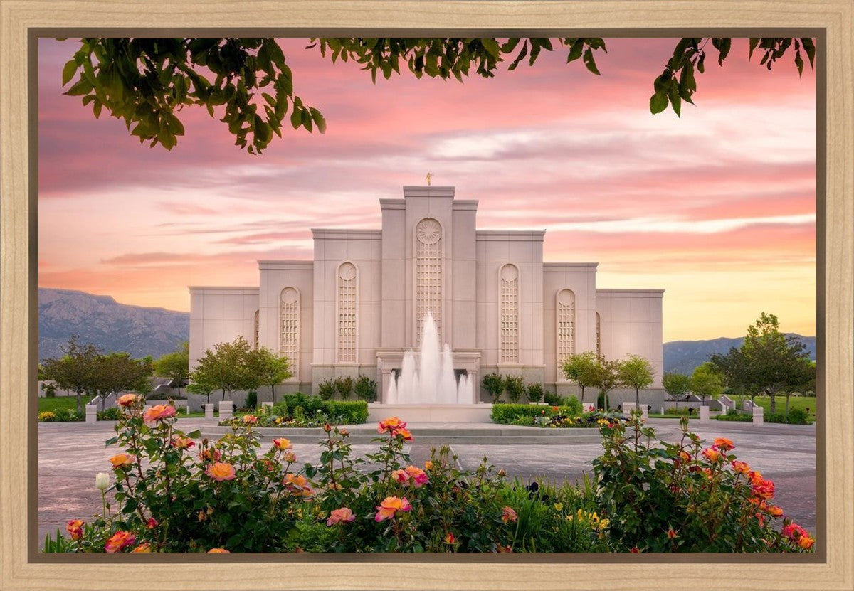 Albuquerque Morning Rose Gallery Wrap