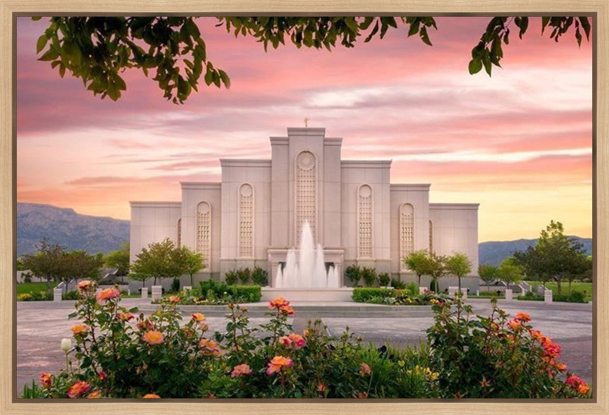 Albuquerque Morning Rose Gallery Wrap