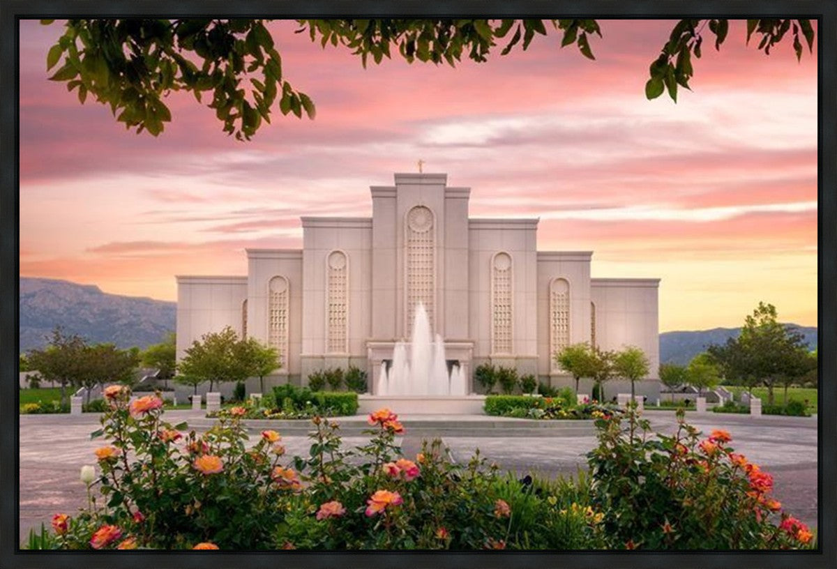 Albuquerque Morning Rose Gallery Wrap