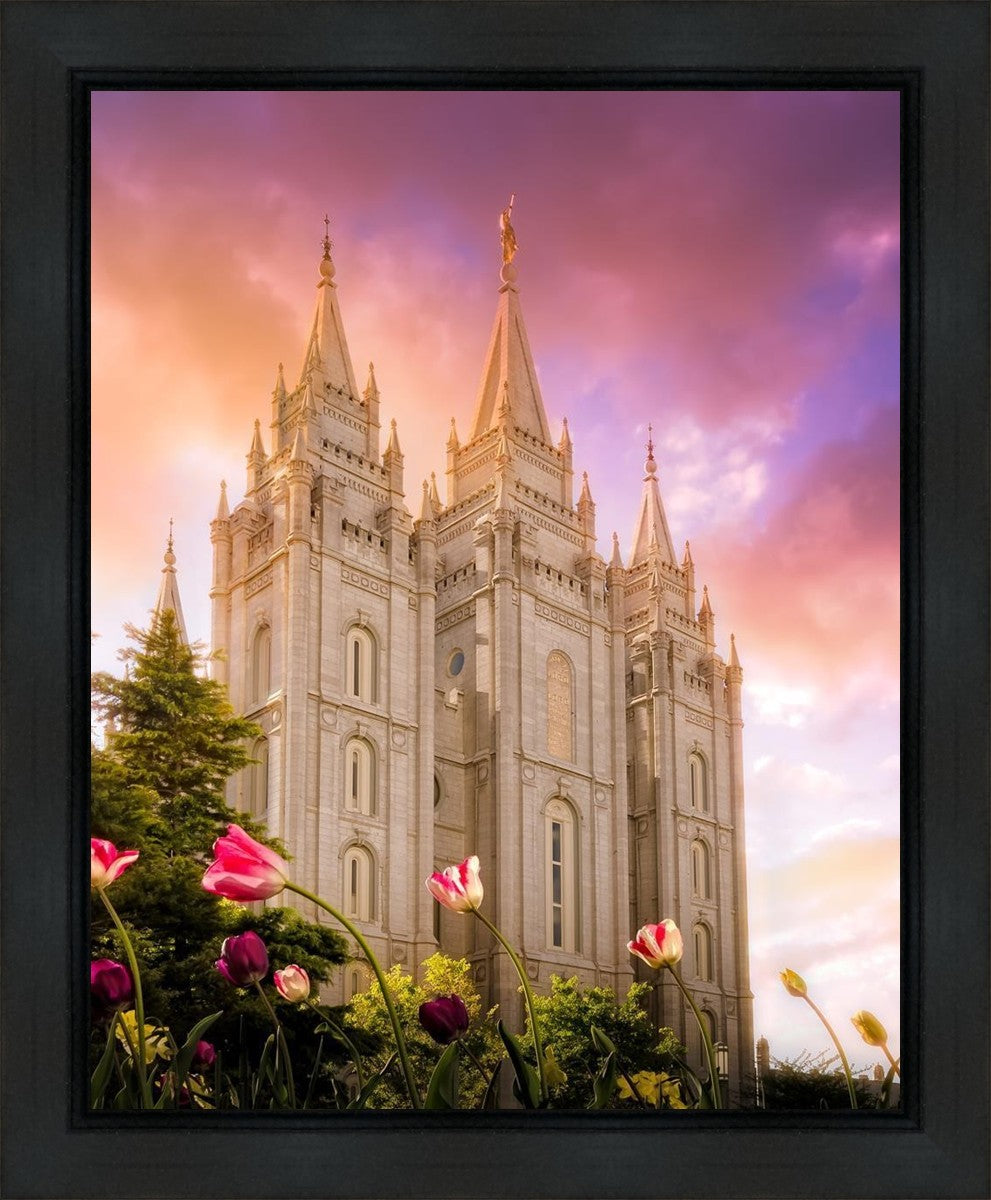 Salt Lake Tulips Gallery Wrap