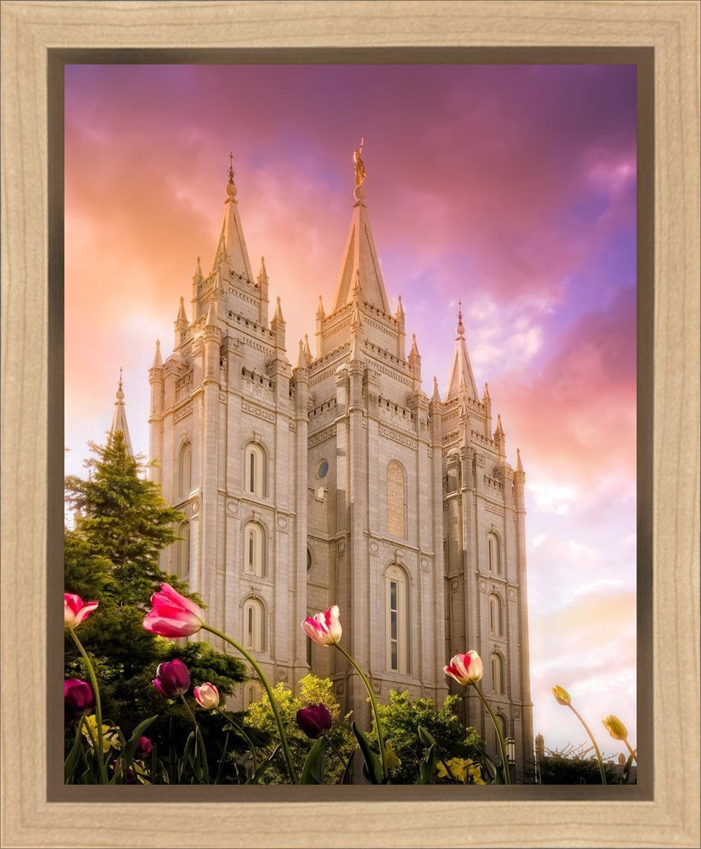 Salt Lake Tulips Gallery Wrap