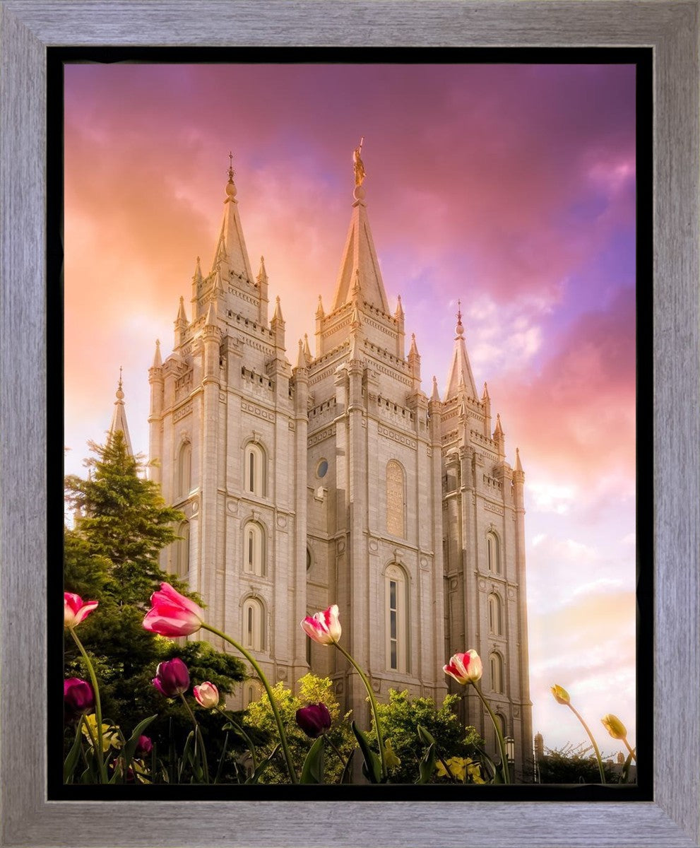 Salt Lake Tulips Gallery Wrap
