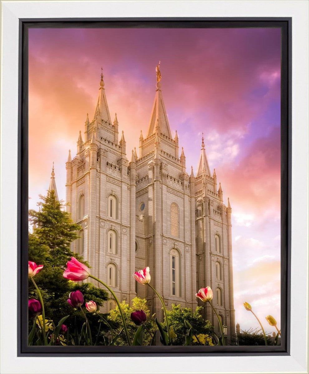 Salt Lake Tulips Gallery Wrap