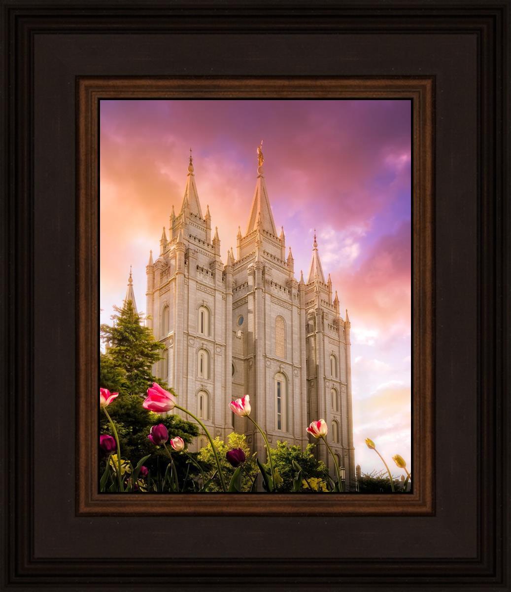 Salt Lake Tulips