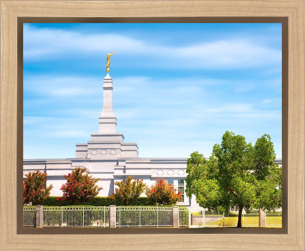 Fresno Day Panorama
