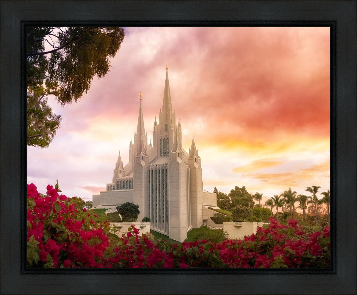 San Diego Flowers Gallery Wrap