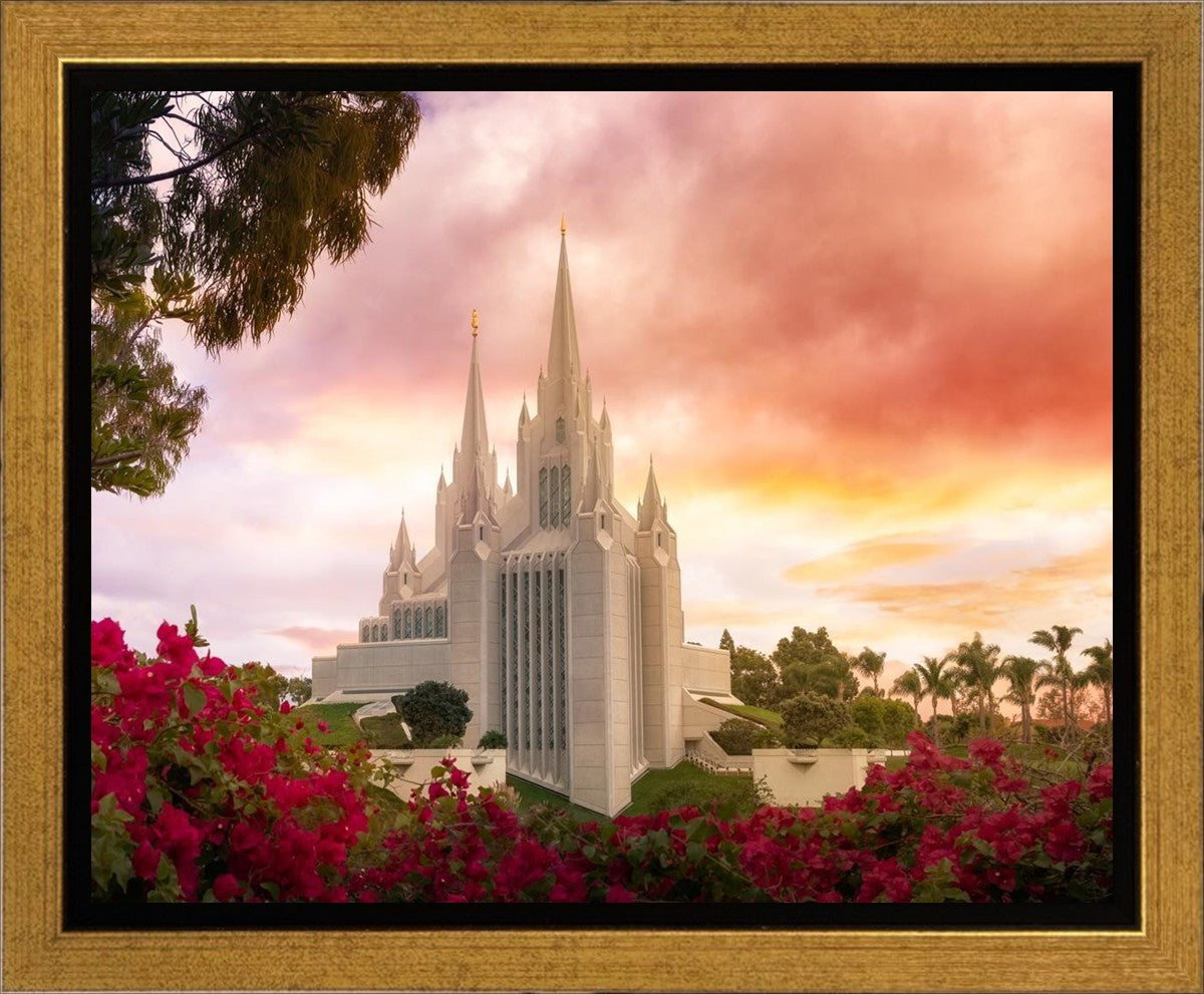 San Diego Flowers Gallery Wrap