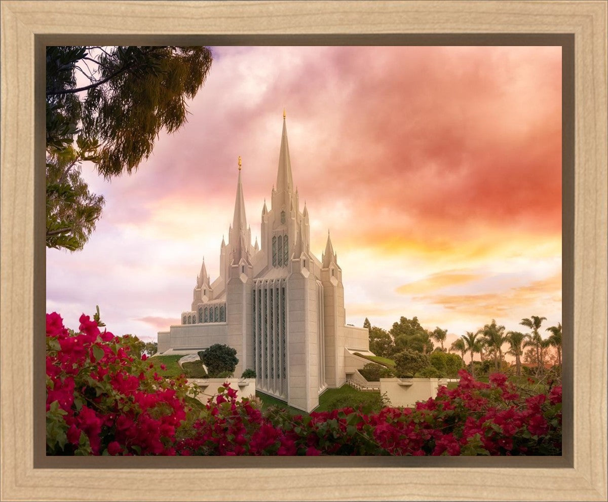 San Diego Flowers Gallery Wrap