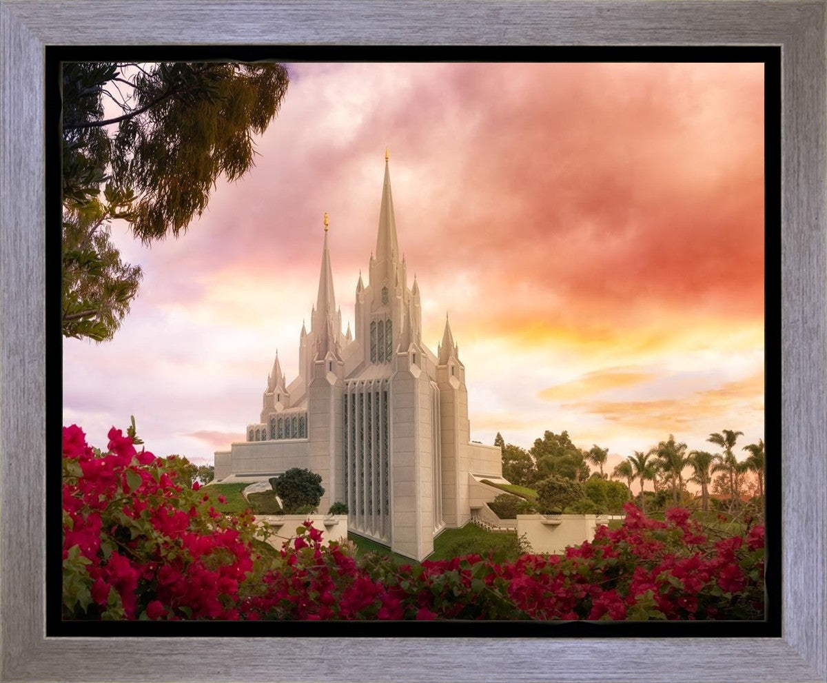 San Diego Flowers Gallery Wrap