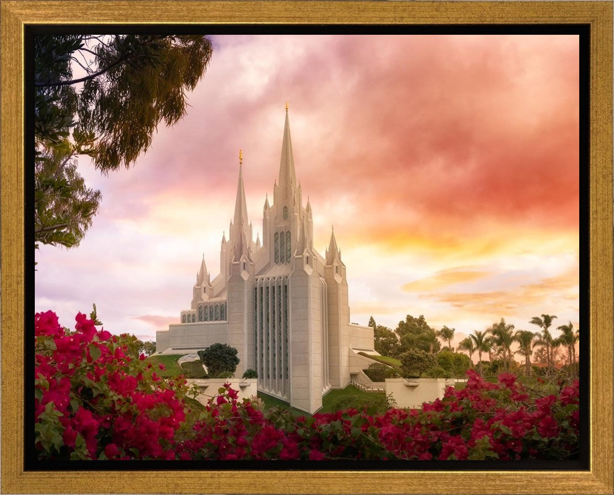 San Diego Flowers Gallery Wrap