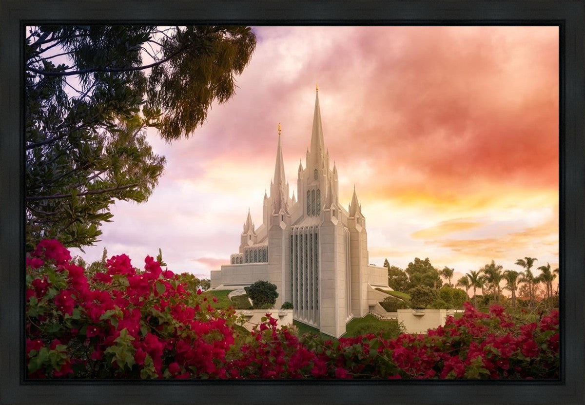 San Diego Flowers Gallery Wrap
