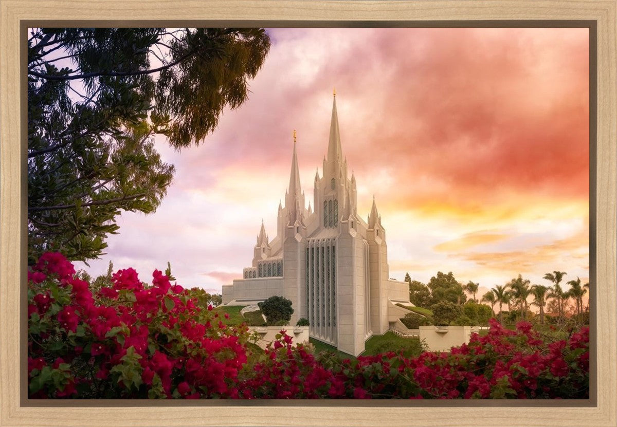 San Diego Flowers Gallery Wrap