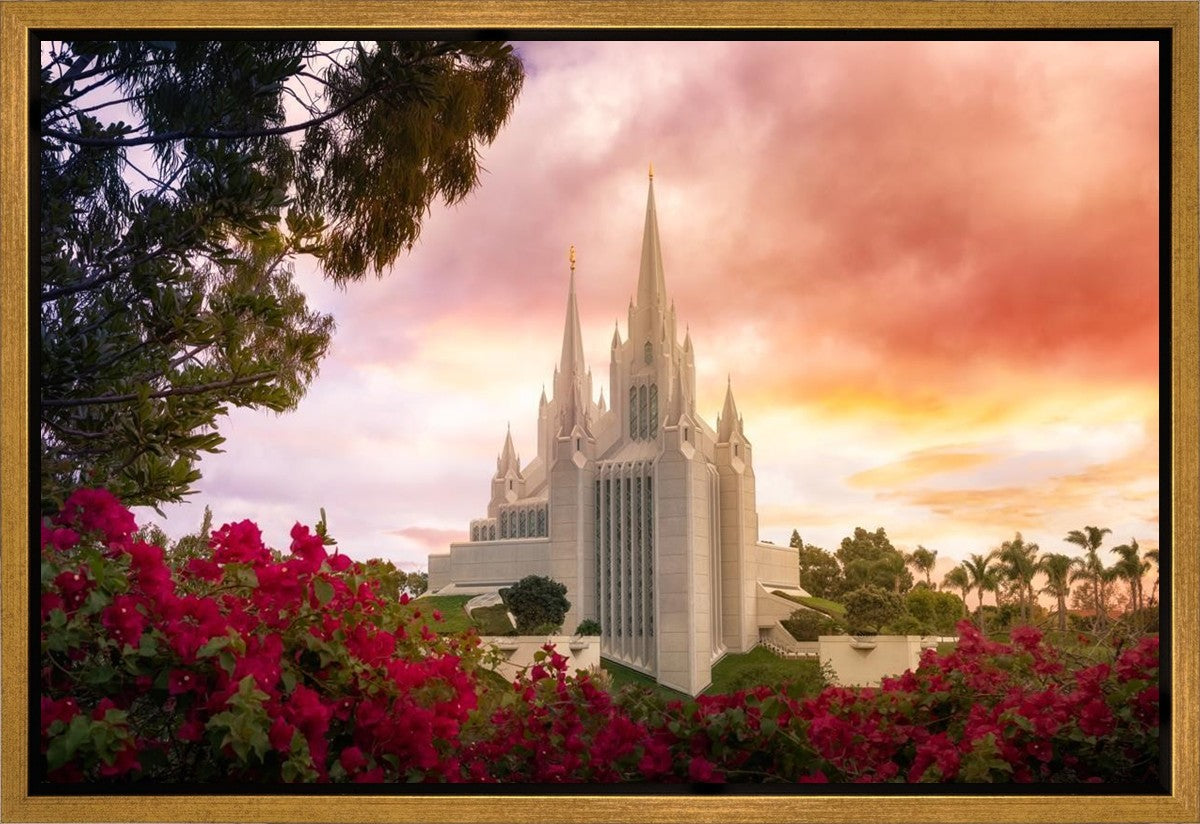 San Diego Flowers Gallery Wrap