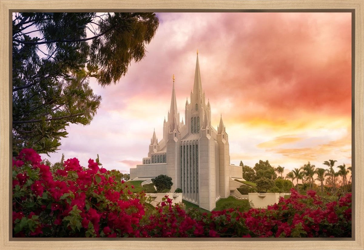 San Diego Flowers Gallery Wrap