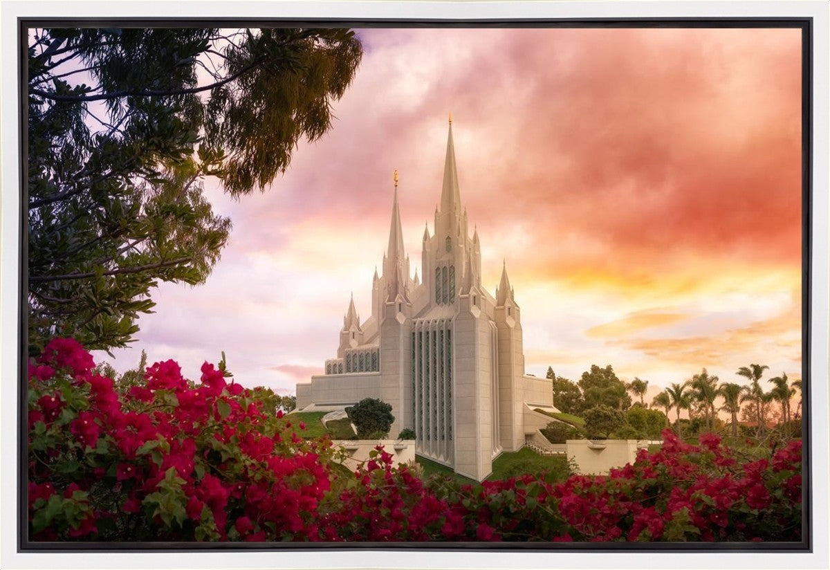 San Diego Flowers Gallery Wrap