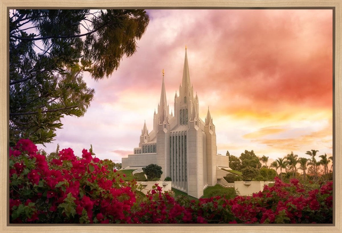 San Diego Flowers Gallery Wrap