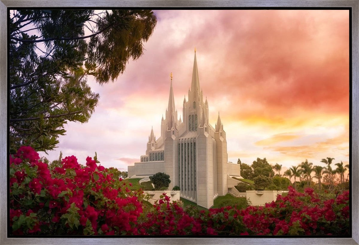 San Diego Flowers