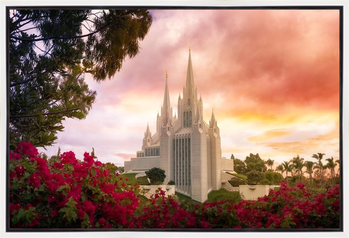 San Diego Flowers Gallery Wrap