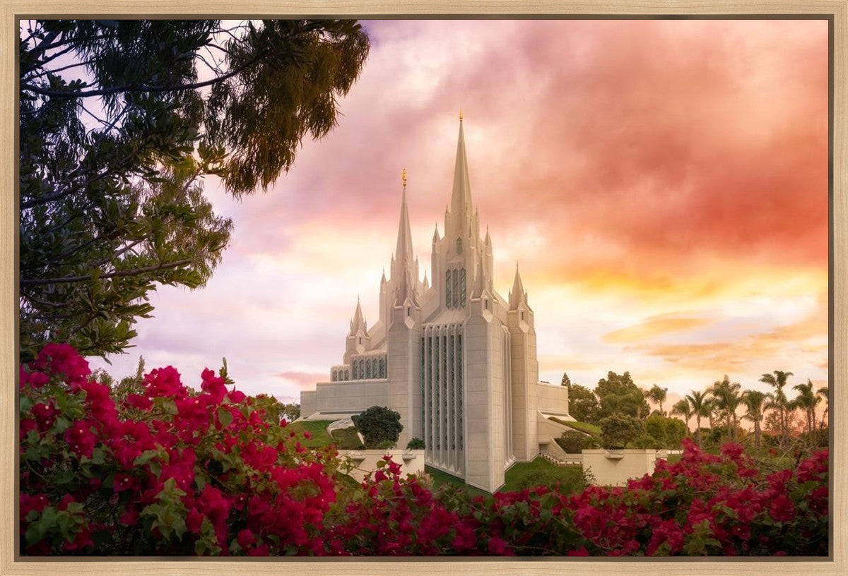 San Diego Flowers Gallery Wrap