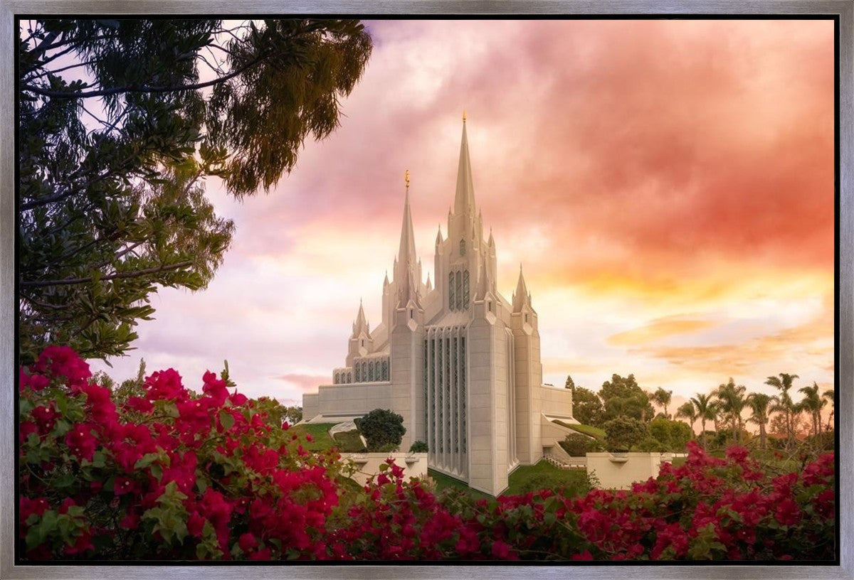 San Diego Flowers Gallery Wrap