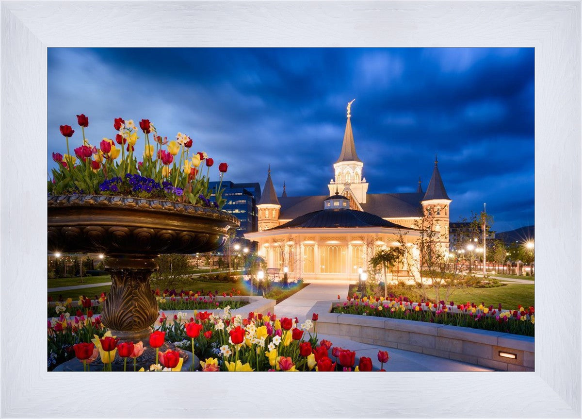 Provo City Center - April Showers Bring May Flowers
