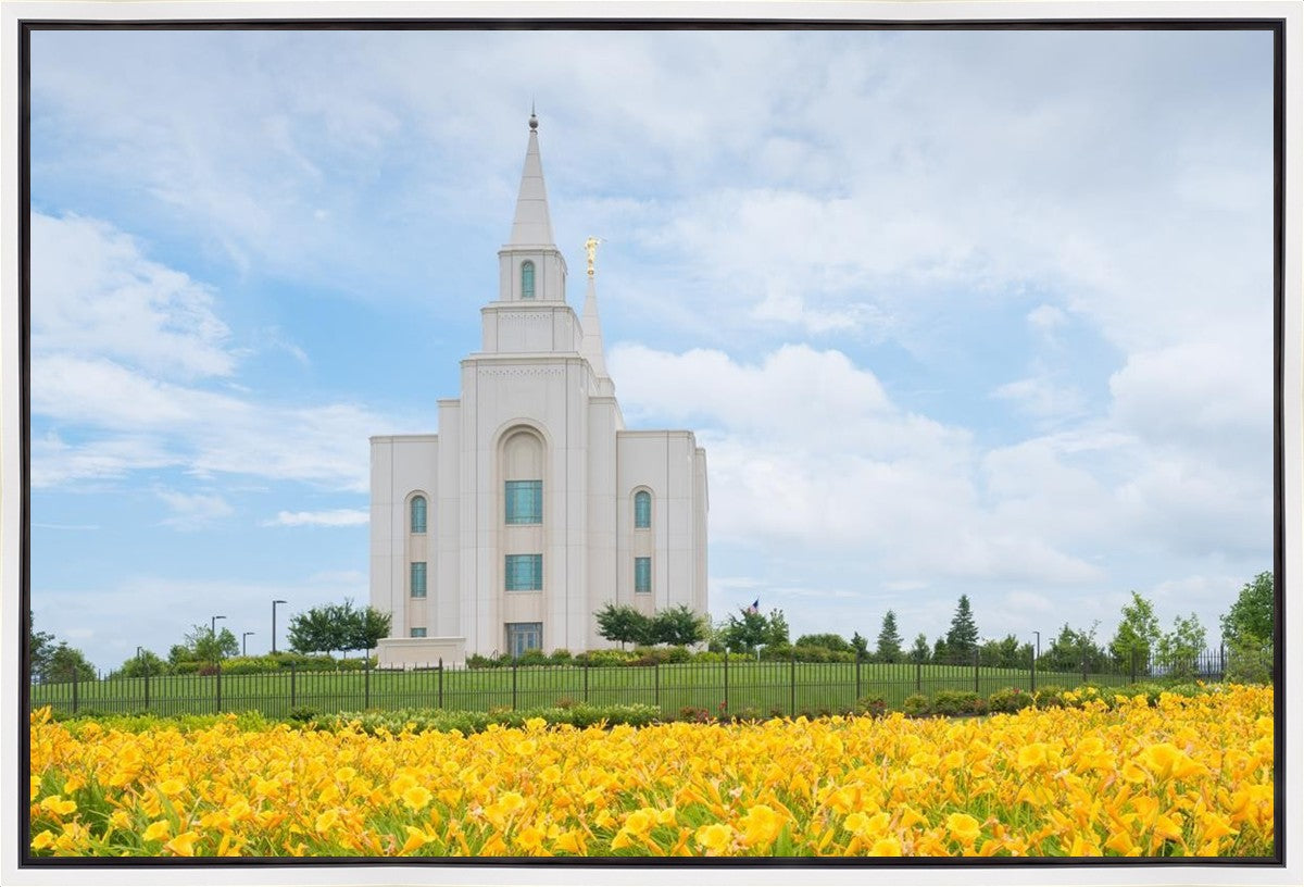 Blue and Gold Kansas City