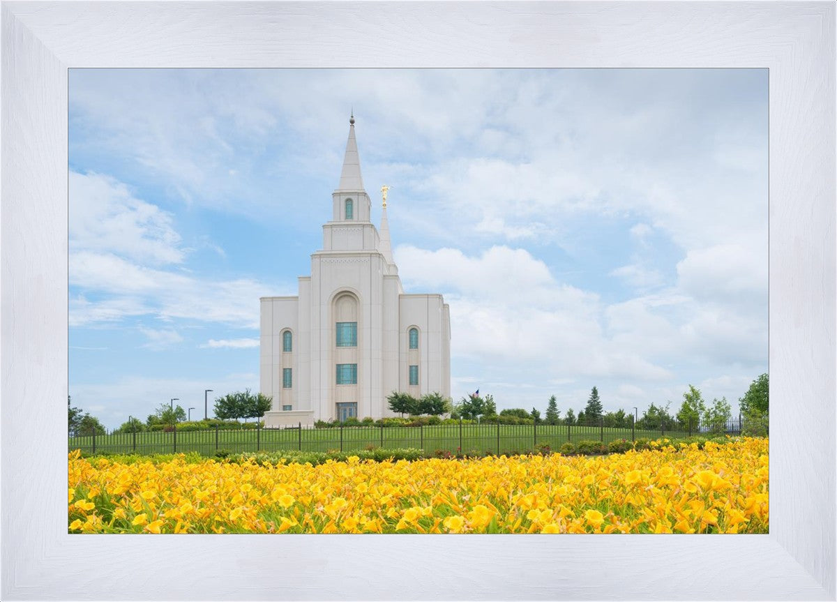 Blue and Gold Kansas City