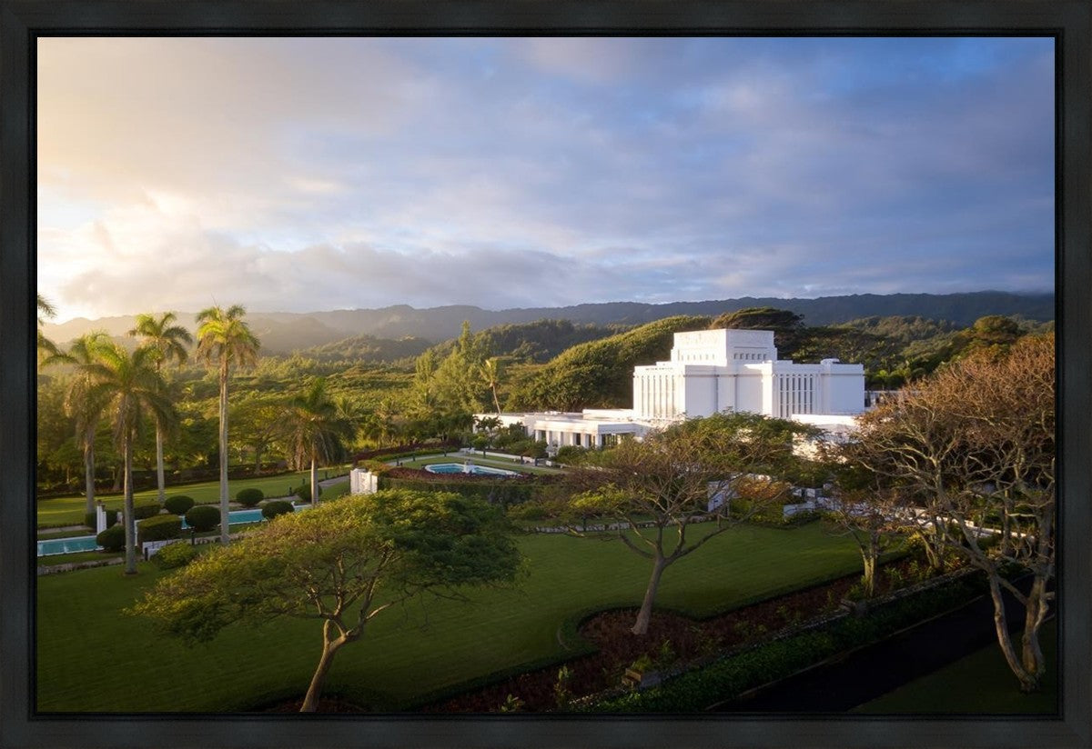 Laie Island Glow