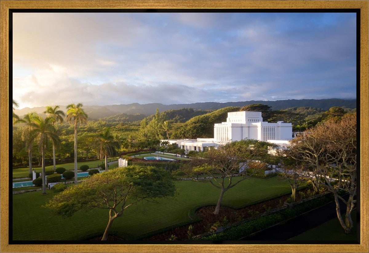 Laie Island Glow