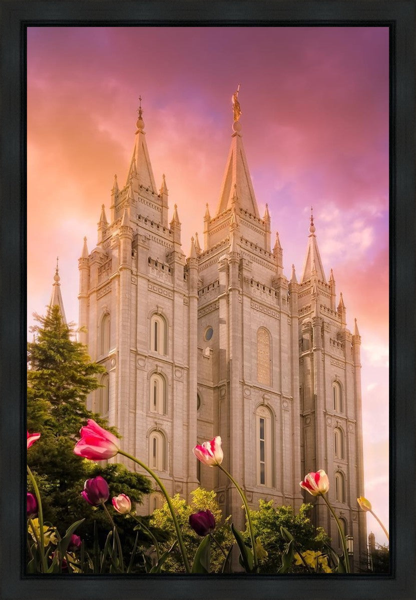 Salt Lake Tulips Gallery Wrap