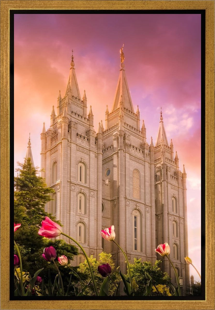 Salt Lake Tulips Gallery Wrap