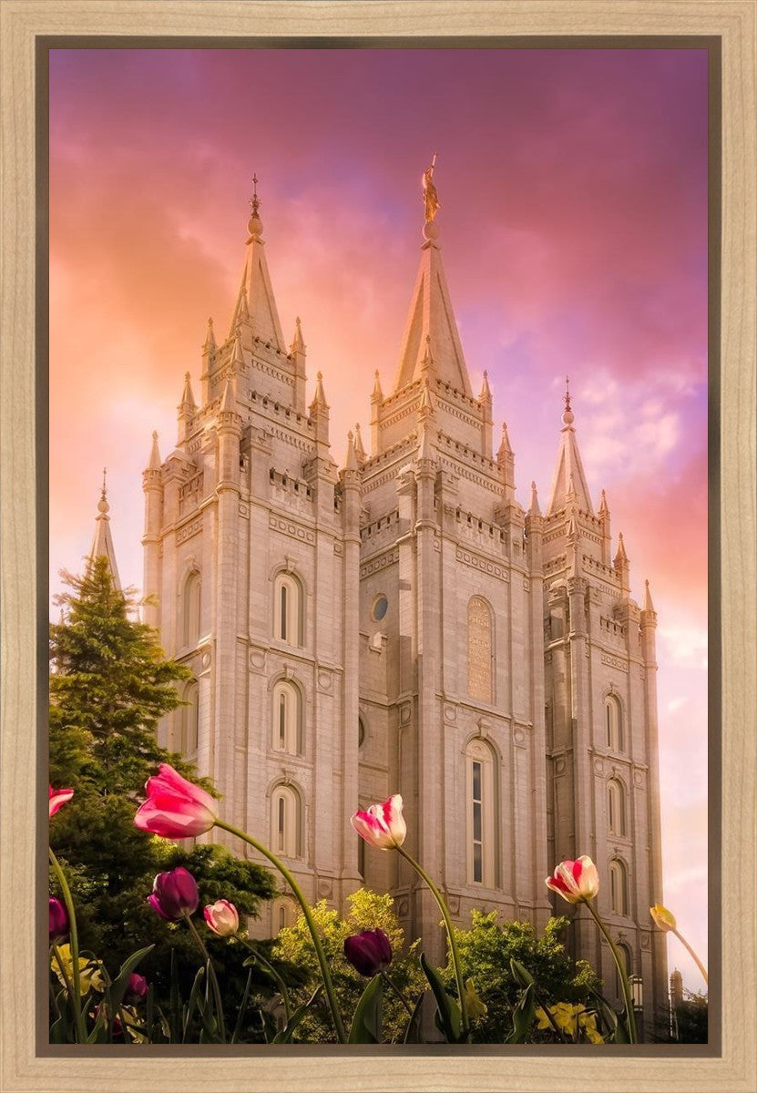 Salt Lake Tulips Gallery Wrap