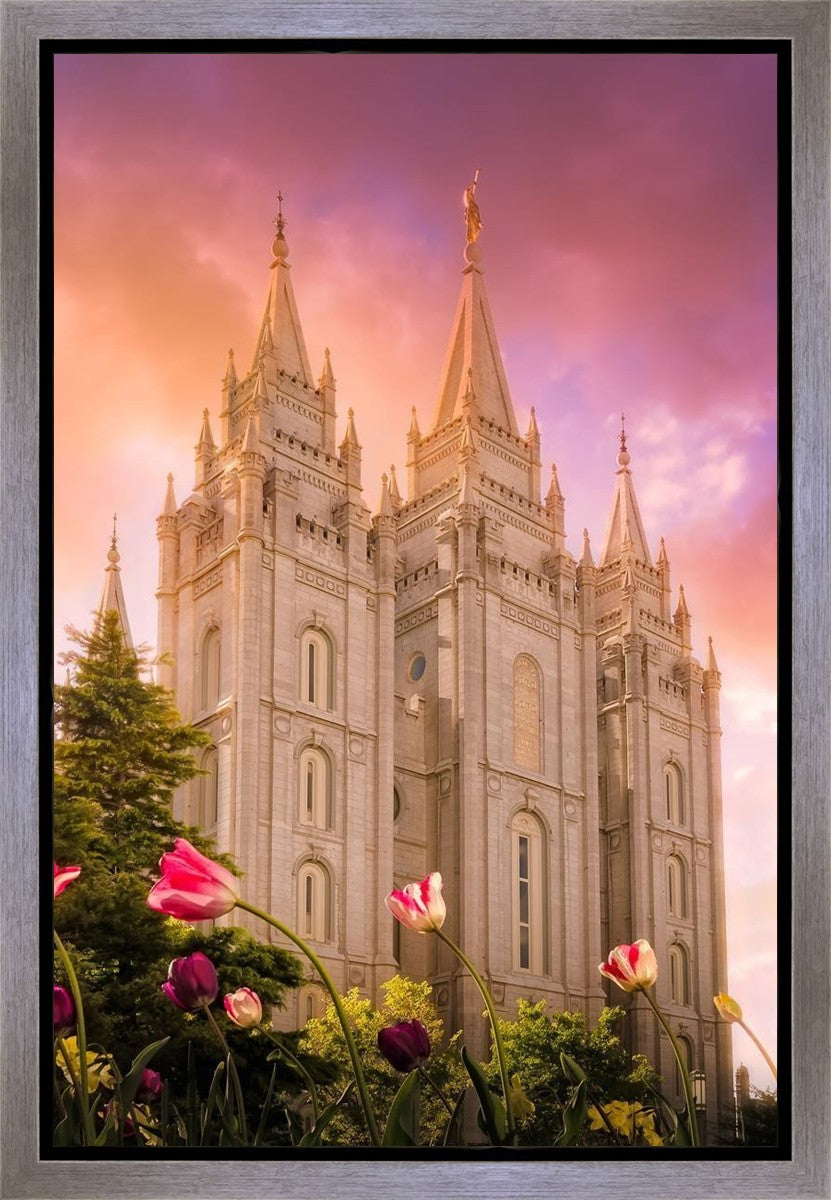 Salt Lake Tulips Gallery Wrap