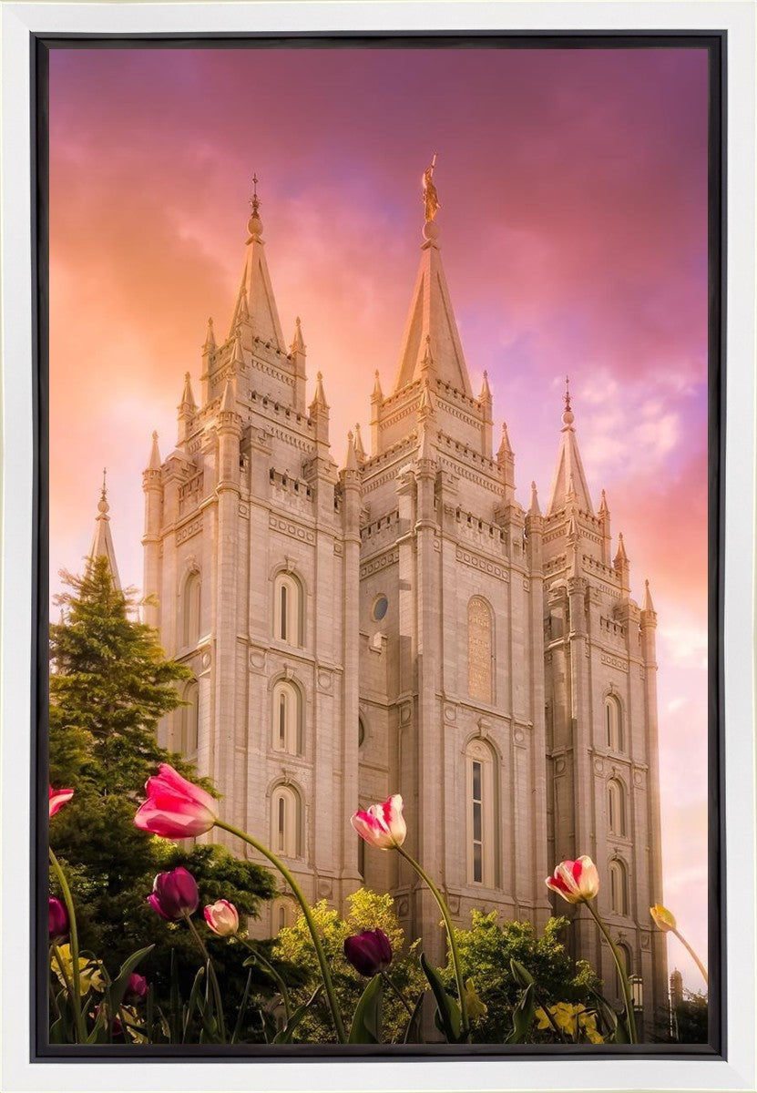 Salt Lake Tulips Gallery Wrap
