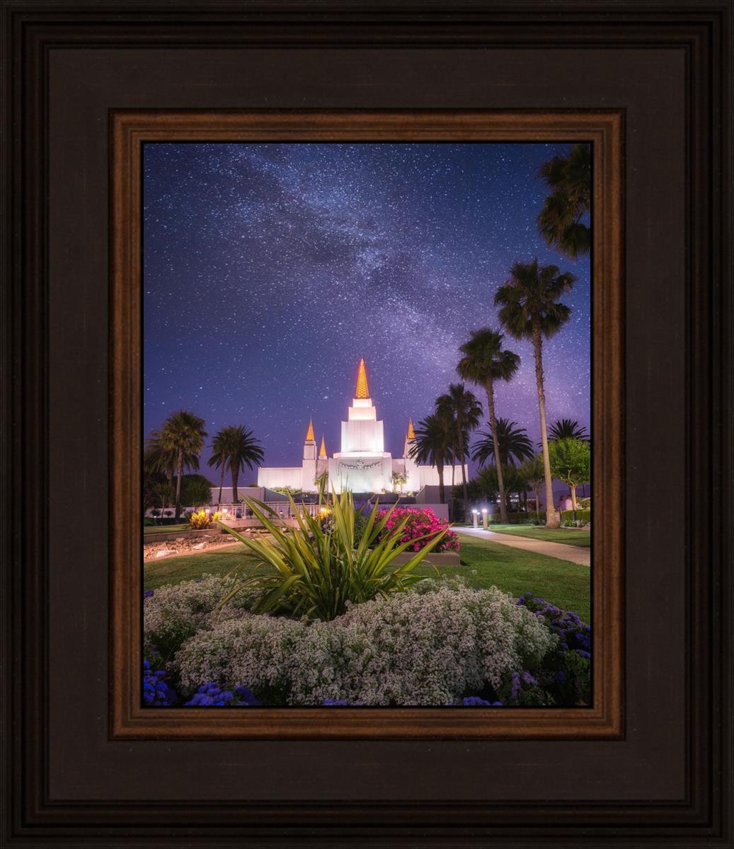 Oakland Starry Eyed