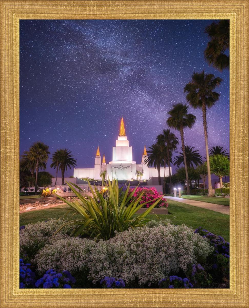Oakland Starry Eyed