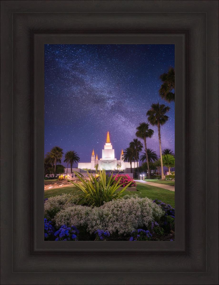 Oakland Starry Eyed