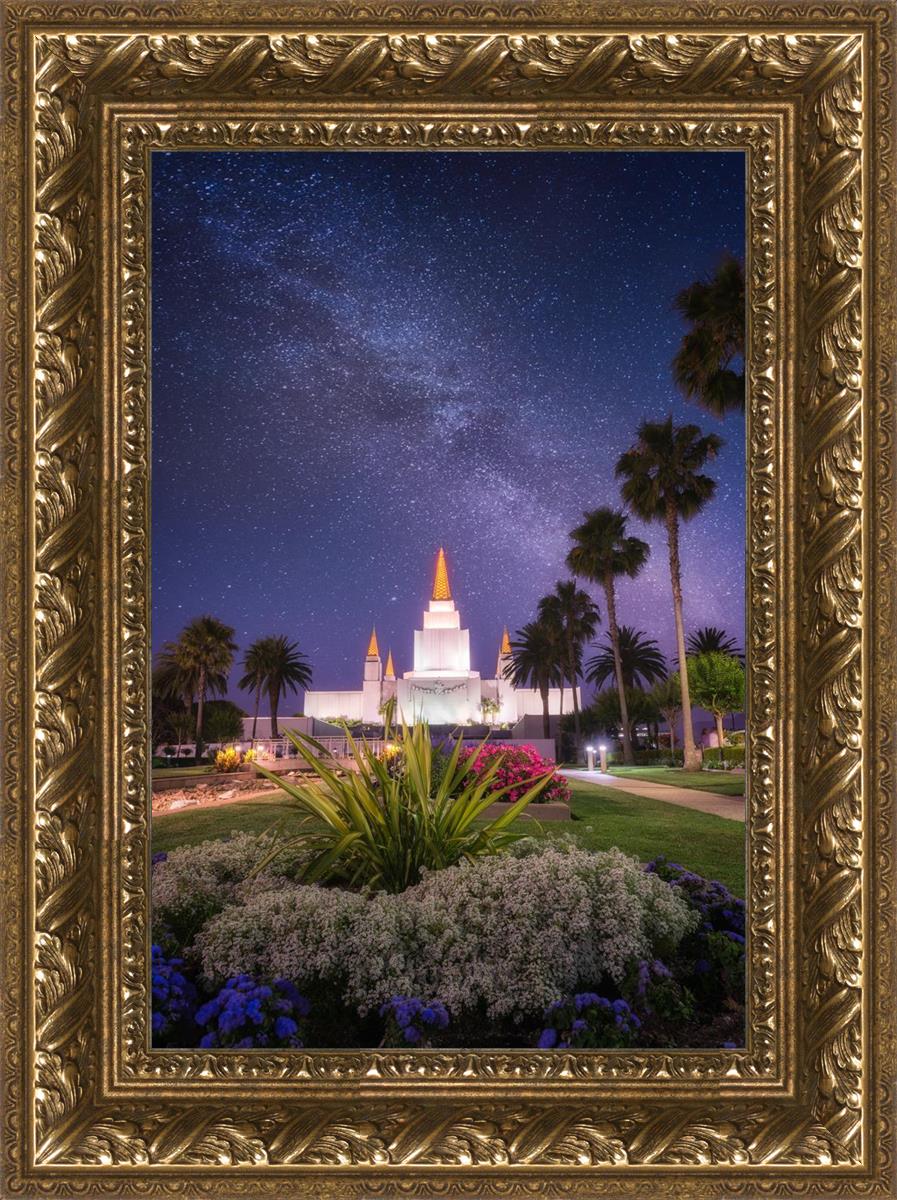 Oakland Starry Eyed