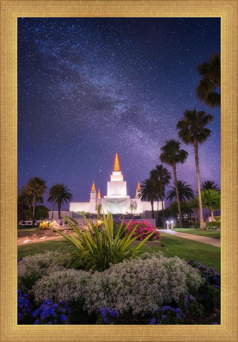 Oakland Starry Eyed