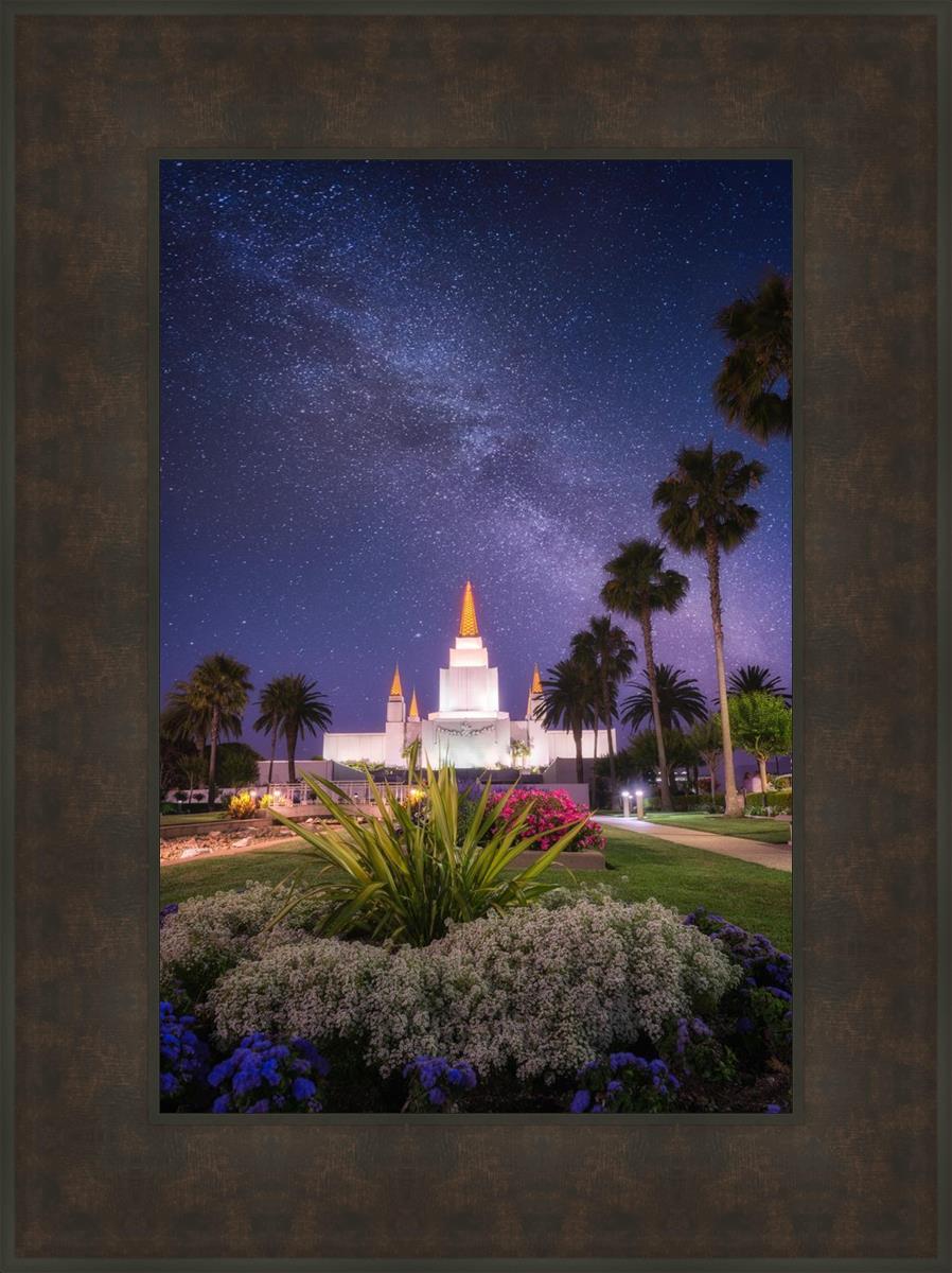 Oakland Starry Eyed