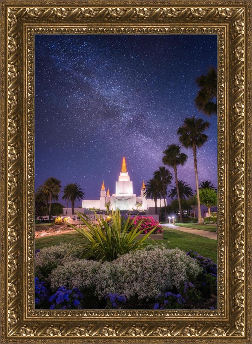 Oakland Starry Eyed